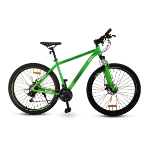 Bicikl Boyo Terra 29"