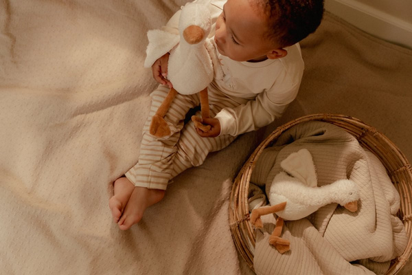 Little Dutch Plišana Patka Little Goose Ld8405