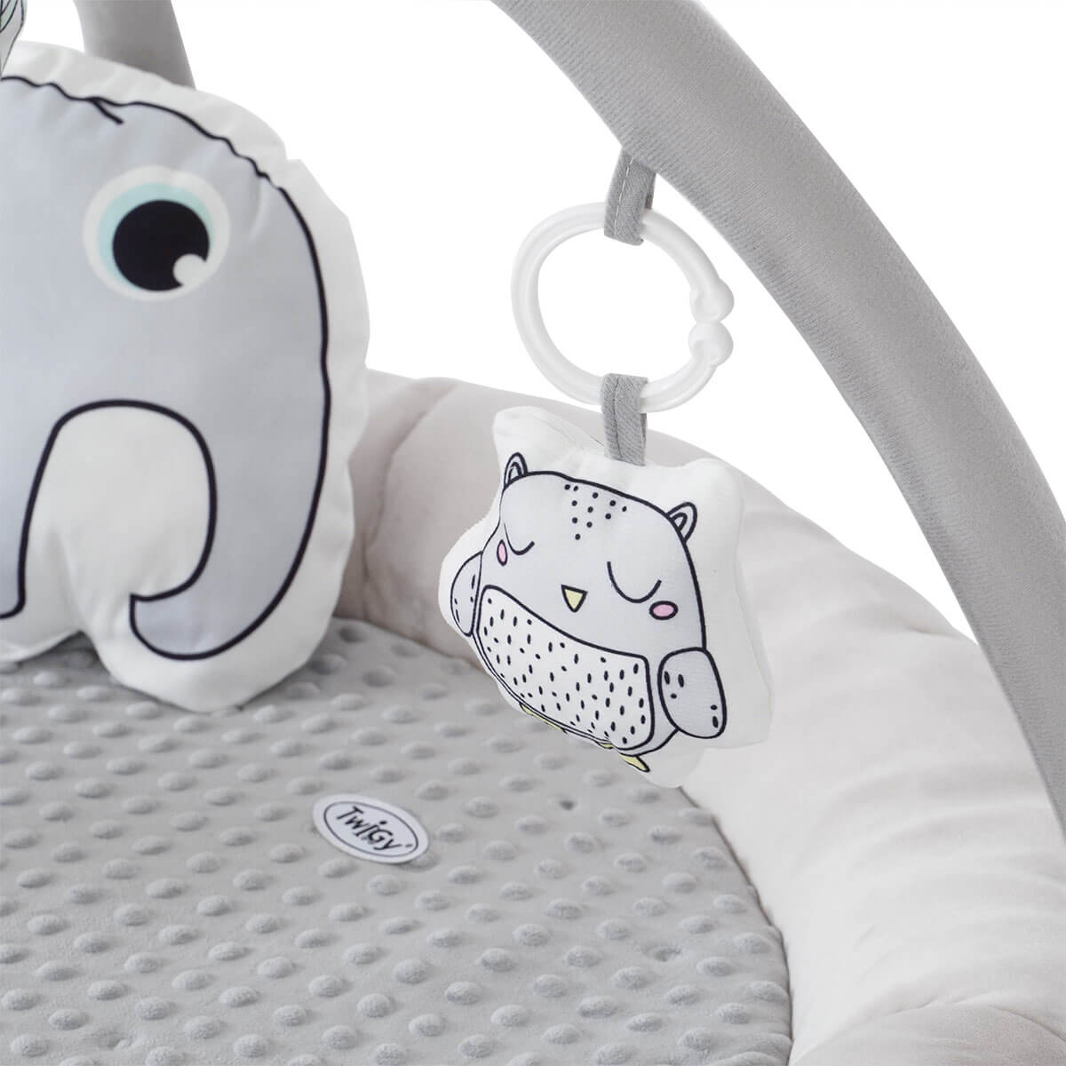 Hw19138186 Baby Gym Podloga