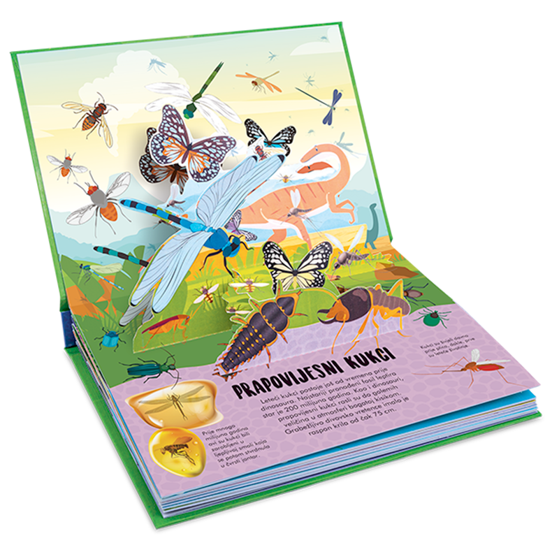 Kid: Pop Up Priroda :Kukci