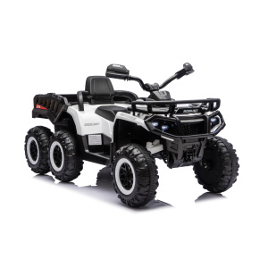 Auto Quad na Akumulator Nel-009B