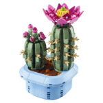 Kaktus U Cvatu 11509 - Image 1