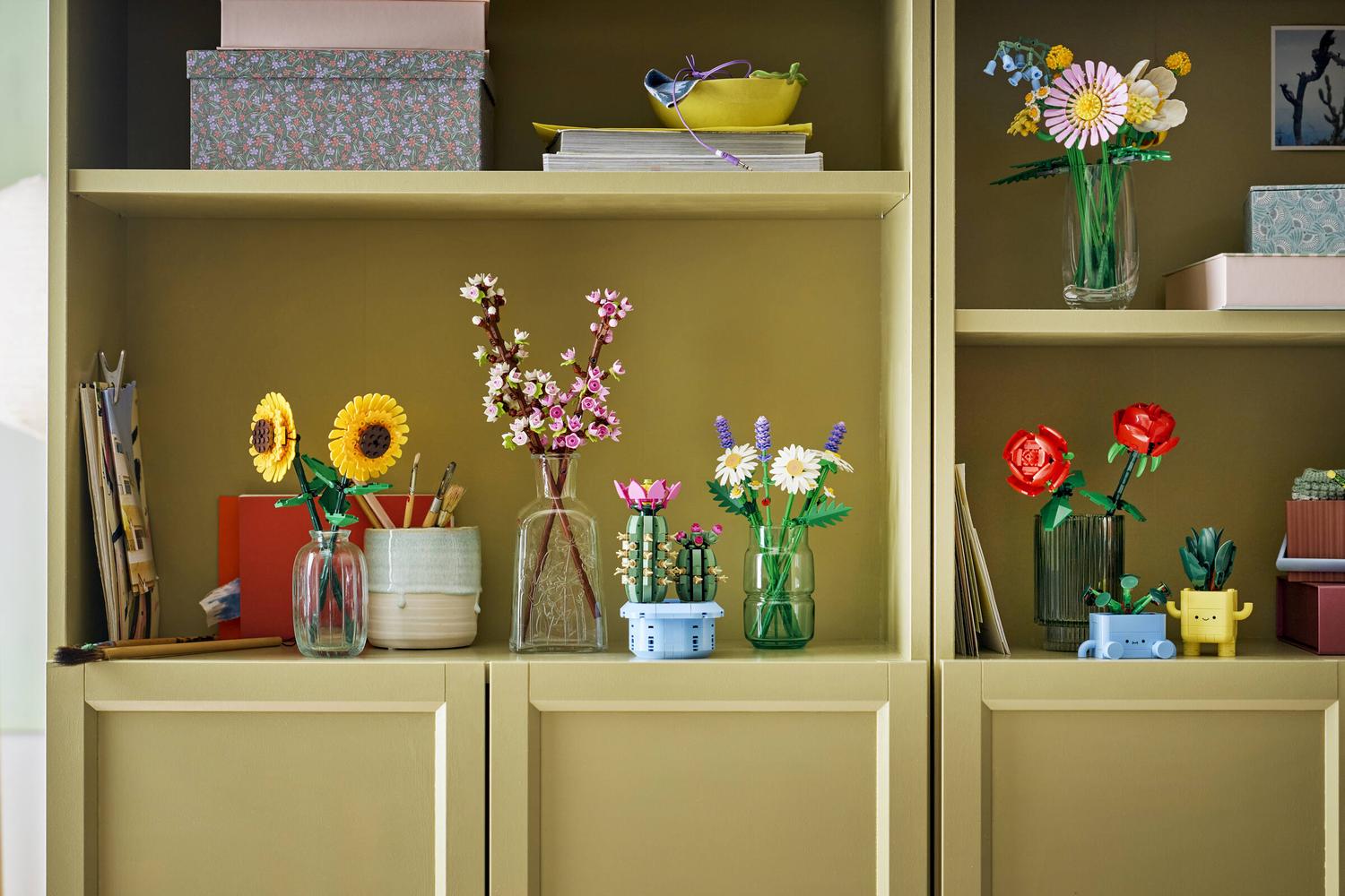 Kaktus U Cvatu 11509