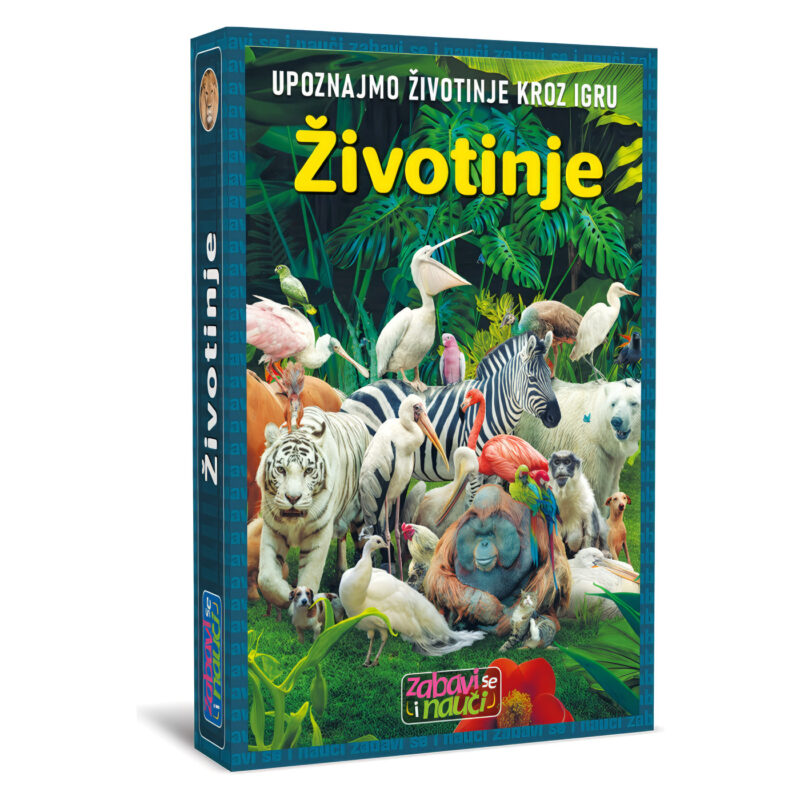 Memo-Kids-ivotinje-20260405-012453 Memo Kids Životinje - Image 1