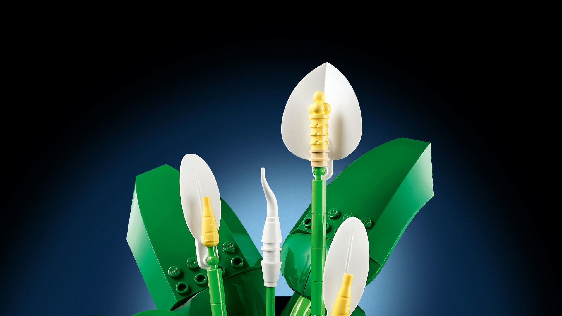 Lego Ljiljan Mira 11504