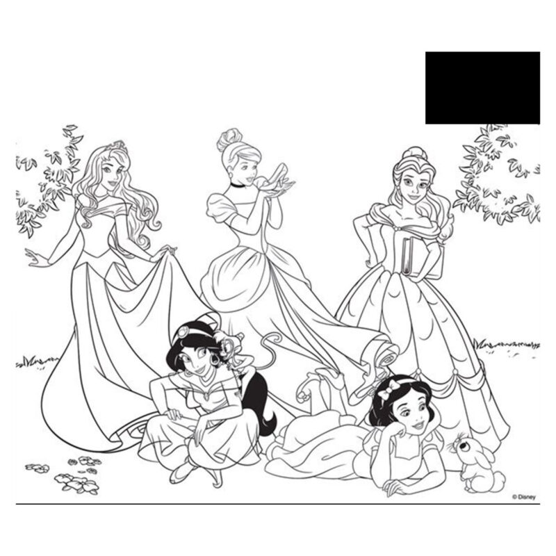 Puzzle Disney Princess složi i oboji plus 60 – Bimaco