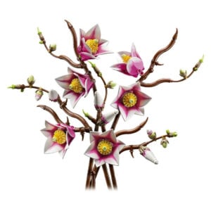 Lego Grane Magnolije - Image 1