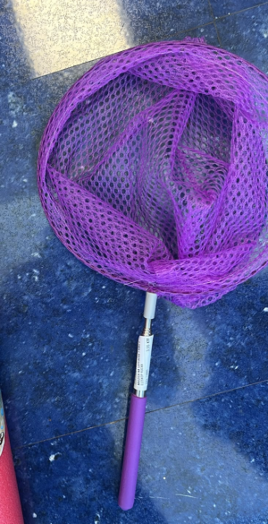 Outlet: Dječja teleskopska mrežica za leptire, insekte i male ribice